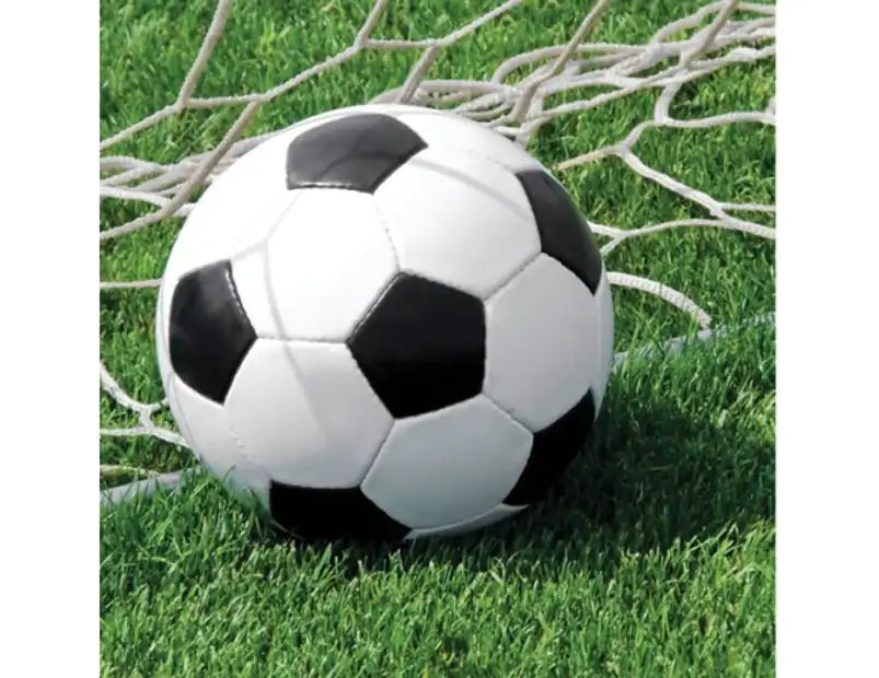 SPORTS FANATIC SOCCER LUNCH NAPKINS - PACK OF 16