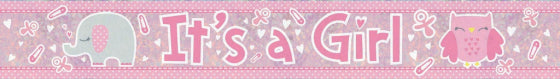 IT'S A GIRL BABY SHOWER FOIL BANNER - 2.7M