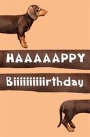 BIRTHDAY CARD - FUNNY