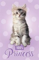 BIRTHDAY CARD - FUNNY