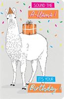 BIRTHDAY CARD - FUNNY