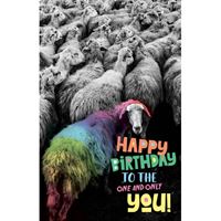 BIRTHDAY CARD - FUNNY