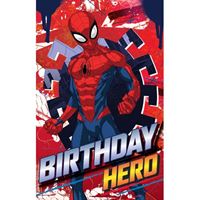 BIRTHDAY CARD - SPIDERMAN