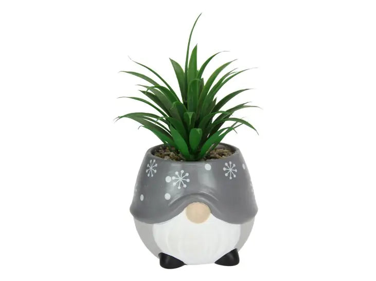 GREY GNOME POT WITH SUCCULENT - 19CM