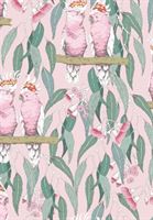 GIFT WRAP - AUSTRALIANA BIRDS