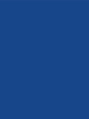 GIFT WRAP - SOLID BLUE