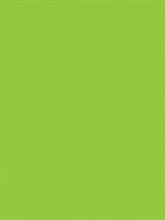 GIFT WRAP - SOLID GREEN