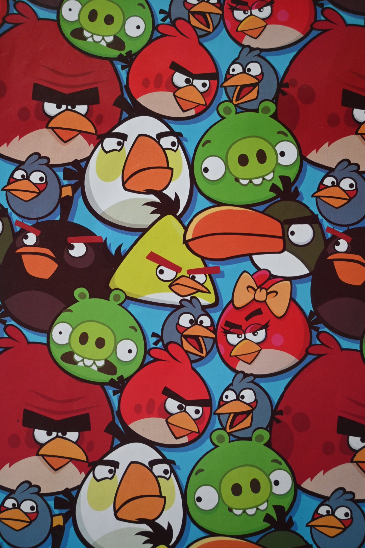 GIFT WRAP - ANGRY BIRDS