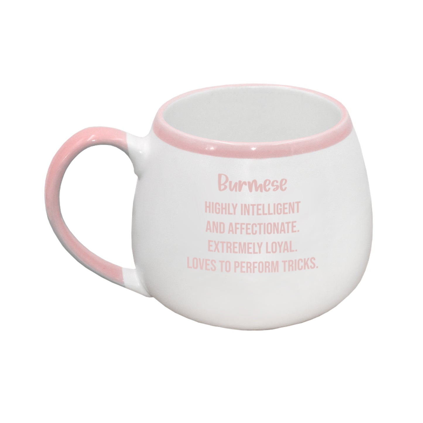 PAINTED PET BURMESE MUG