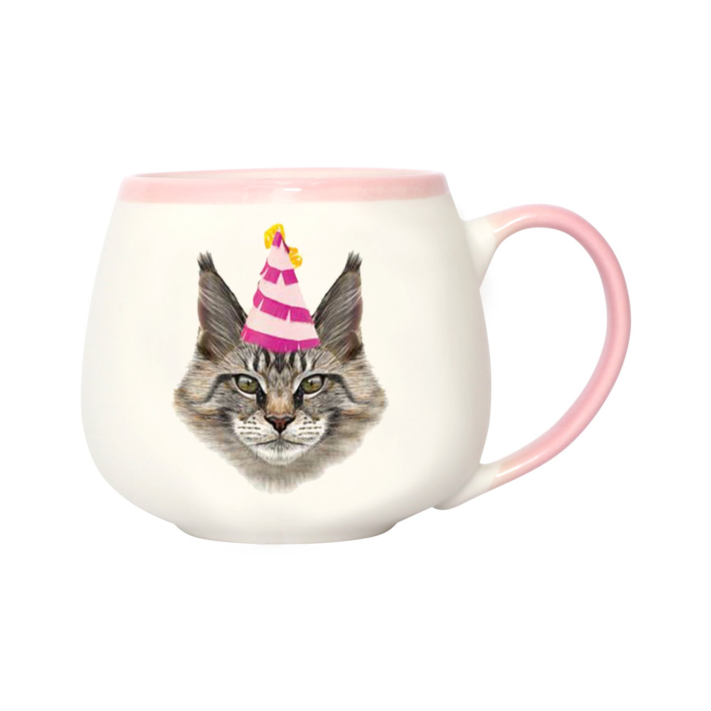 PAINTED PET MAINE COON MUG