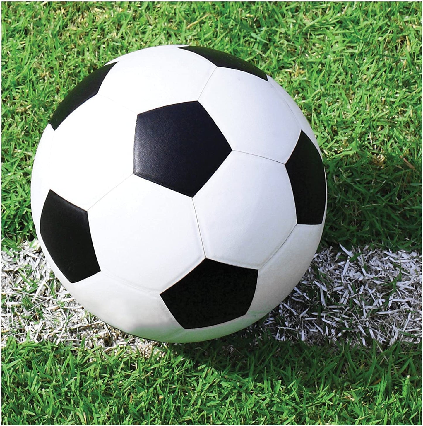 SPORTS FANATIC SOCCER BEVERAGE NAPKINS - PACK OF 16