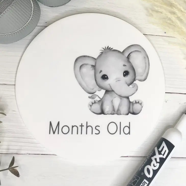 REUSABLE WEEKS OLD & MONTHS OLD MILESTONE DISCS - ELEPHANT