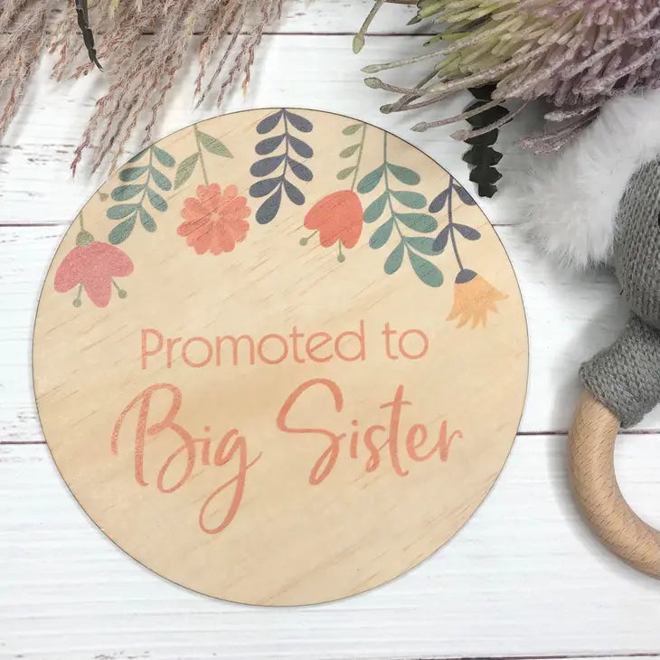 PROMOTED TO BIG SISTER BABY MILESTONE PLAQUE