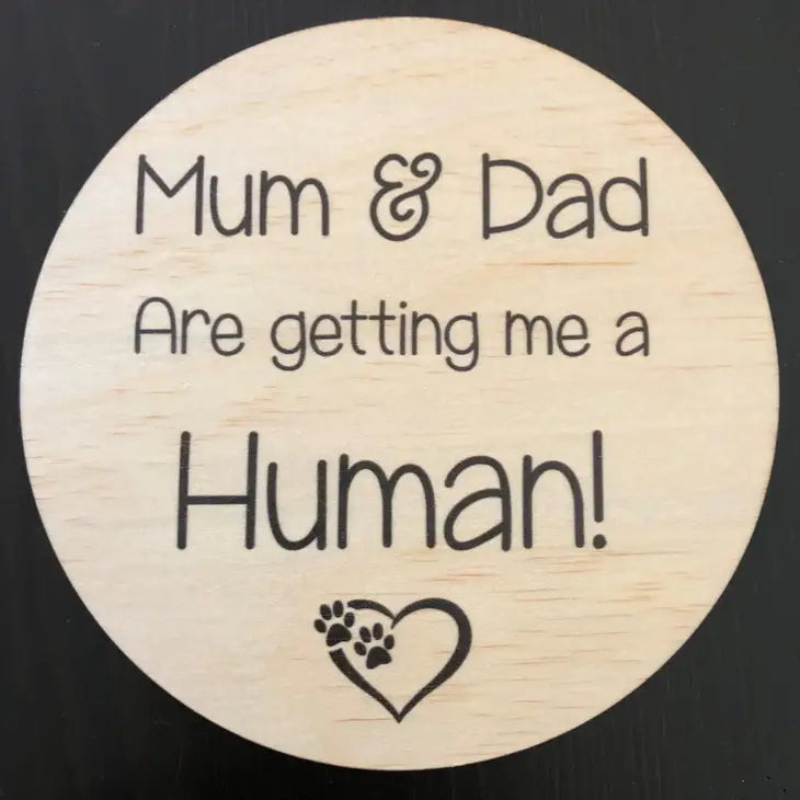 PREGNANCY ANNOUNCEMENT BABY MILESTONE PLAQUE - PET