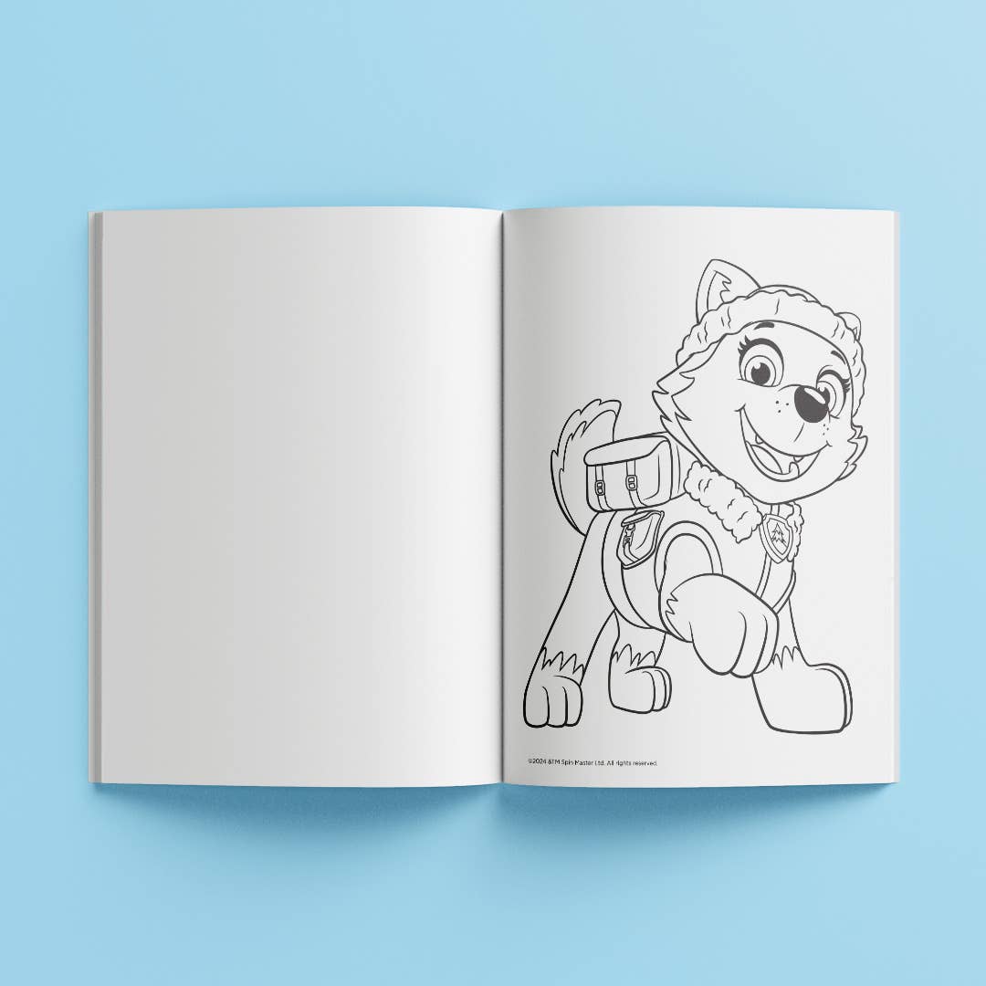 HINKLER KALEIDOSCOPE PAW PATROL ULTIMATE COLOURING CARRY CASE LARGE