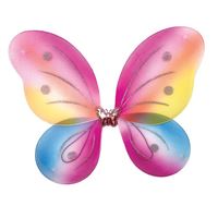 KIDS PARTY RAINBOW FAIRY WINGS