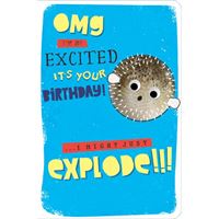 BIRTHDAY CARD - FUNNY