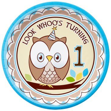 LOOK WHOO'S TURNING ONE 1ST BIRTHDAY BLUE ROUND PAPER PLATES 23CM - PACK OF 8