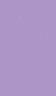 GIFT WRAP - LILAC